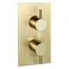 JTP Vos Brushed Brass Twin Outlet Thermostatic Concealed Shower Valve 1 JTP Vos Brushed Brass Twin Outlet Thermostatic Concealed Shower Valve -ShowerLux Shop 23651ABBR P