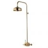 Aqualisa - Aquatique Thermo Exposed Thermostatic Valve with 8" Drencher Head & Riser Rail - Gold - 500.10.04-581.04 -ShowerLux Shop 500.10.04 581.04 P