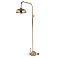 Aqualisa - Aquatique Thermo Exposed Thermostatic Valve with 8" Drencher Head & Riser Rail - Gold - 500.10.04-581.04
