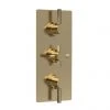 Hudson Reed Tec Pura Plus Triple Concealed Thermostatic Shower Valve - Brushed Brass - A8003 2 Hudson Reed Tec Pura Plus Triple Concealed Thermostatic Shower Valve - Brushed Brass - A8003 -ShowerLux Shop A8003 m