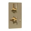 Hudson Reed Tec Pura Concealed Twin Shower Valve with Built-in Diverter - Brushed Brass - A8007 1 Hudson Reed Tec Pura Concealed Twin Shower Valve with Built-in Diverter - Brushed Brass - A8007 -ShowerLux Shop A8007 m