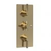 Hudson Reed Tec Pura Plus Concealed Thermostatic Triple Shower Valve with Diverter - Brushed Brass - A8023 1 Hudson Reed Tec Pura Plus Concealed Thermostatic Triple Shower Valve with Diverter - Brushed Brass - A8023 -ShowerLux Shop A8023 m