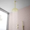 Arezzo Brushed Brass Concealed Individual Diverter + Thermostatic Control Valve with Handset + Ceiling Mounted Shower Head -ShowerLux Shop ARZB ISV PK2 n p