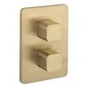 Crosswater - Atoll/Glide II/Marvel Crossbox 3 Outlet Trim & Levers - Brushed Brass 1 Crosswater - Atoll/Glide II/Marvel Crossbox 3 Outlet Trim & Levers - Brushed Brass -ShowerLux Shop ATCB2500LBPF MM
