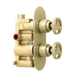 Arezzo Brushed Brass Industrial Style Round Modern Twin Concealed Shower Valve -ShowerLux Shop AZBBIV1 d5 460