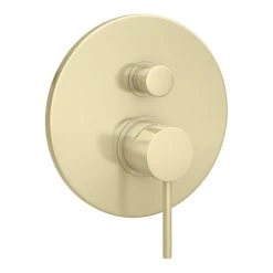 Arezzo Brushed Brass Round Concealed Manual Shower Valve with Diverter