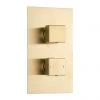 Arezzo Square Modern Twin Concealed Shower Valve with Diverter - Brushed Brass 1 Arezzo Square Modern Twin Concealed Shower Valve with Diverter - Brushed Brass -ShowerLux Shop AZBBSQSVD p