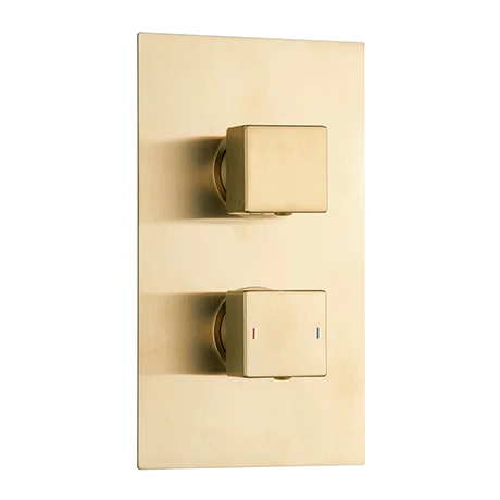 Arezzo Square Modern Twin Concealed Shower Valve with Diverter - Brushed Brass 3 Arezzo Square Modern Twin Concealed Shower Valve with Diverter - Brushed Brass