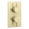 Arezzo Brushed Brass Round Modern Twin Concealed Shower Valve 1 Arezzo Brushed Brass Round Modern Twin Concealed Shower Valve -ShowerLux Shop AZBBSV n prod