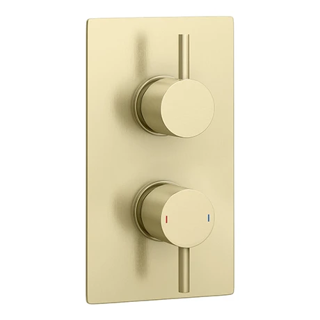 Arezzo Brushed Brass Round Modern Twin Concealed Shower Valve 3 Arezzo Brushed Brass Round Modern Twin Concealed Shower Valve