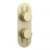 Arezzo Brushed Brass Round Twin Concealed Shower Valve w. Diverter + Oval Faceplate -ShowerLux Shop AZBBSVDR n p