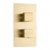 Arezzo Brushed Brass Square Modern Twin Concealed Shower Valve 2 Arezzo Brushed Brass Square Modern Twin Concealed Shower Valve -ShowerLux Shop AZBBSVSQ p
