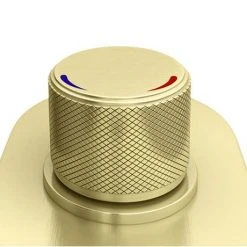 Arezzo Brushed Brass Industrial Style Push Button Shower Valve (2 Outlets) 11 Arezzo Brushed Brass Industrial Style Push Button Shower Valve (2 Outlets) -ShowerLux Shop AZPB02RBB d5 460