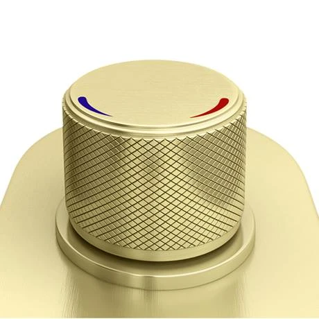 Arezzo Brushed Brass Industrial Style Push Button Shower Valve (2 Outlets) 7 Arezzo Brushed Brass Industrial Style Push Button Shower Valve (2 Outlets) - Image 5