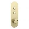 Arezzo Brushed Brass Industrial Style Push Button Shower Valve (2 Outlets) 1 Arezzo Brushed Brass Industrial Style Push Button Shower Valve (2 Outlets) -ShowerLux Shop AZPB02RBB np