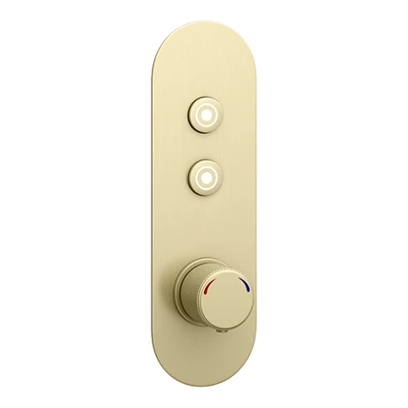 Arezzo Brushed Brass Industrial Style Push Button Shower Valve (2 Outlets) 3 Arezzo Brushed Brass Industrial Style Push Button Shower Valve (2 Outlets)