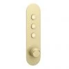 Arezzo Brushed Brass Industrial Style Push Button Shower Valve (3 Outlets) -ShowerLux Shop AZPB03RBB p