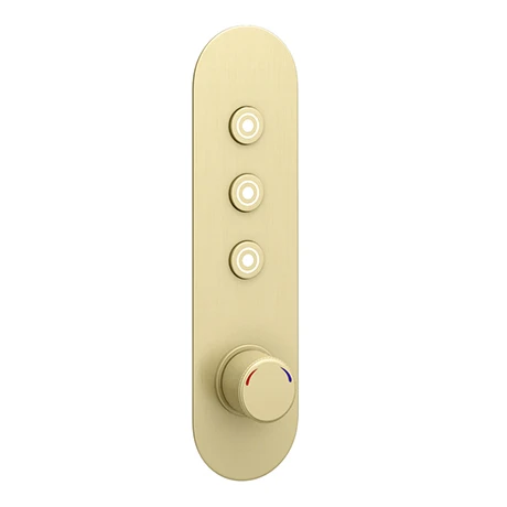 Arezzo Brushed Brass Industrial Style Push Button Shower Valve (3 Outlets) 3 Arezzo Brushed Brass Industrial Style Push Button Shower Valve (3 Outlets)