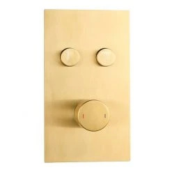 Arezzo Brushed Brass Twin Modern Round Push-Button Shower Valve with 2 Outlets