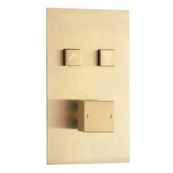 Arezzo Brushed Brass Twin Modern Square Push-Button Shower Valve with 2 Outlets