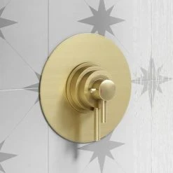 Arezzo Brushed Brass Round Concealed Dual Thermostatic Valve w. 200mm Shower Head -ShowerLux Shop AZSV4BBPK d2 460