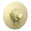 Arezzo Brushed Brass Round Concealed Dual Thermostatic Shower Valve 2 Arezzo Brushed Brass Round Concealed Dual Thermostatic Shower Valve -ShowerLux Shop AZSV4BB n p