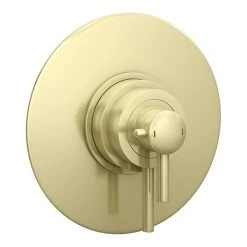Arezzo Brushed Brass Round Concealed Dual Thermostatic Shower Valve
