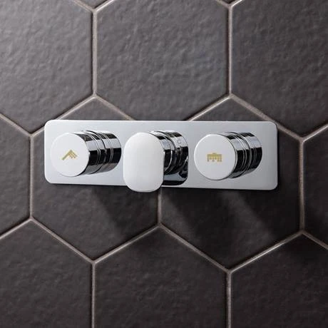 Crosswater - Dial Pier 2 Control Shower Valve - Landscape 5 Crosswater - Dial Pier 2 Control Shower Valve - Landscape - Image 3