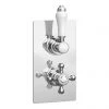 Thames Traditional Twin Concealed Thermostatic Shower Valve 2 Thames Traditional Twin Concealed Thermostatic Shower Valve -ShowerLux Shop ESV21 np1