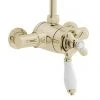 Heritage - Ryde Dual Control Exposed Mini Valve With Top Outlet - Vintage Gold 1 Heritage - Ryde Dual Control Exposed Mini Valve With Top Outlet - Vintage Gold -ShowerLux Shop Heritage Ryde Dual Control Exposed Mini Valve With Top Outlet Vintage Gold new p