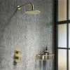 Arezzo Brushed Brass Industrial Style Shower System with Concealed Valve + Head 1 Arezzo Brushed Brass Industrial Style Shower System with Concealed Valve + Head -ShowerLux Shop IS2BBPK n p
