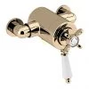 Bristan - 1901 Exposed Dual Control Thermostatic Shower Valve - Gold - N2-CSHXVO-G 1 Bristan - 1901 Exposed Dual Control Thermostatic Shower Valve - Gold - N2-CSHXVO-G -ShowerLux Shop N2 CSHXVO G PN
