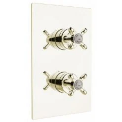 Bristan - 1901 Thermostatic Recessed Dual Control Shower Valve with Integral Diverter - Gold - N2-SHCDIV-G