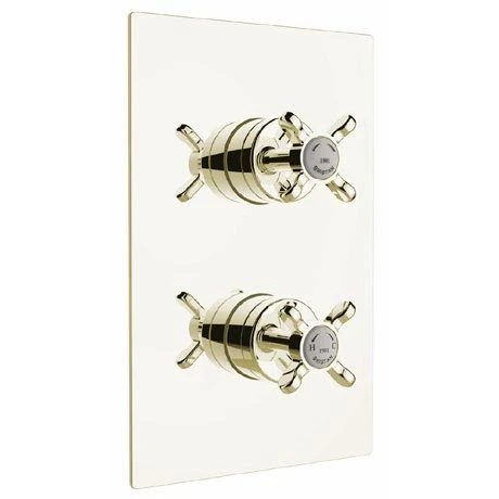 Bristan - 1901 Thermostatic Recessed Dual Control Shower Valve with Integral Diverter - Gold - N2-SHCDIV-G 3 Bristan - 1901 Thermostatic Recessed Dual Control Shower Valve with Integral Diverter - Gold - N2-SHCDIV-G
