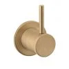 Crosswater MPRO Industrial 2 Way Diverter - Unlacquered Brushed Brass - PRI0007WUB 2 Crosswater MPRO Industrial 2 Way Diverter - Unlacquered Brushed Brass - PRI0007WUB -ShowerLux Shop PRI0007WUB lrg 670
