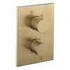Crosswater - Brushed Brass MPRO Crossbox 1 Outlet Trim & Levers Finishing Kit 2 Crosswater - Brushed Brass MPRO Crossbox 1 Outlet Trim & Levers Finishing Kit -ShowerLux Shop PROCB1000LBPF P1