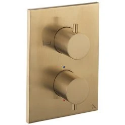 Crosswater - Brushed Brass MPRO Crossbox 2 Outlet (Bath/Shower Icons) Trim & Levers Finishing Kit