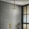 Arezzo Brushed Brass Round Shower Package with Concealed Valve + Ceiling Mounted Head -ShowerLux Shop RD2BBPKCM new p