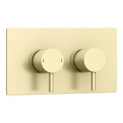 Arezzo Brushed Brass Round Shower Package with Concealed Valve + Head 13 Arezzo Brushed Brass Round Shower Package with Concealed Valve + Head -ShowerLux Shop RD2BBPK n d2 460