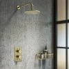 Arezzo Brushed Brass Round Shower Package with Concealed Valve + Head 1 Arezzo Brushed Brass Round Shower Package with Concealed Valve + Head -ShowerLux Shop RD2BBPK n p