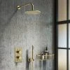 Arezzo Brushed Brass Round Thermostatic Shower Pack with Head + Handset -ShowerLux Shop RD4BBPK nw p