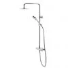 Tavistock Quantum Thermostatic Diverter Bar Valve with Shower Head & Accessory Shelf 1 Tavistock Quantum Thermostatic Diverter Bar Valve with Shower Head & Accessory Shelf -ShowerLux Shop SQT2009 P