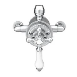 Trafalgar Traditional Dual Exposed Thermostatic Shower Valve 9 Trafalgar Traditional Dual Exposed Thermostatic Shower Valve -ShowerLux Shop TSV11 n d1 460