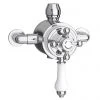 Trafalgar Traditional Dual Exposed Thermostatic Shower Valve 2 Trafalgar Traditional Dual Exposed Thermostatic Shower Valve -ShowerLux Shop Trafalgar Traditional Dual Exposed Thermostatic Shower Valve prod