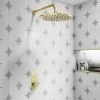 Arezzo Brushed Brass Round Push-Button Shower with 300mm Rainfall Shower Head -ShowerLux Shop VWH6GREWHI p